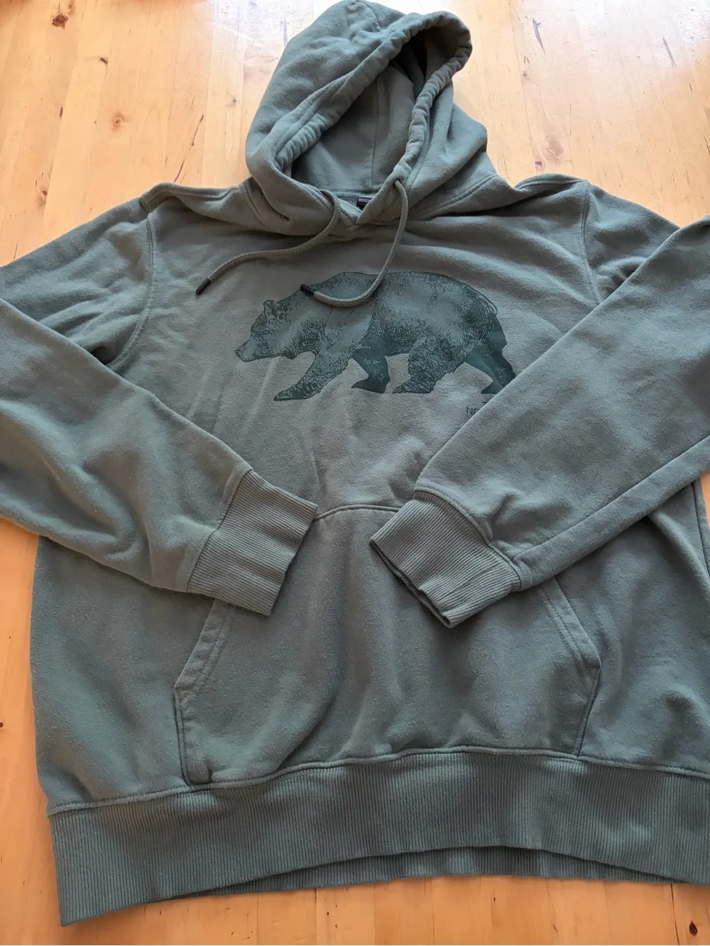 The North Face Men's Olive Hoodie with Bear Graphic